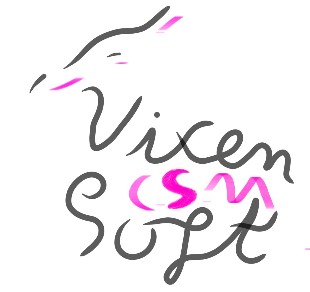 vixensoftcsm_logo